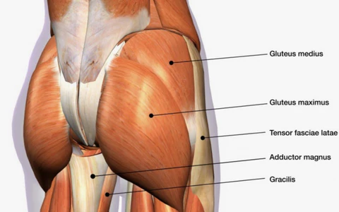 Glute_480x480